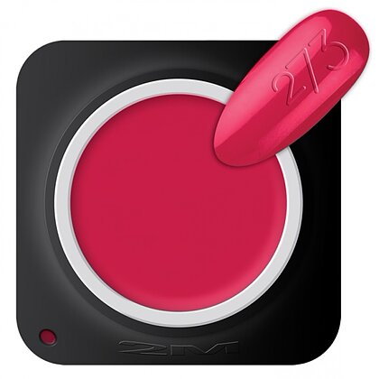 Gel Color 2M Beauty Nr.273